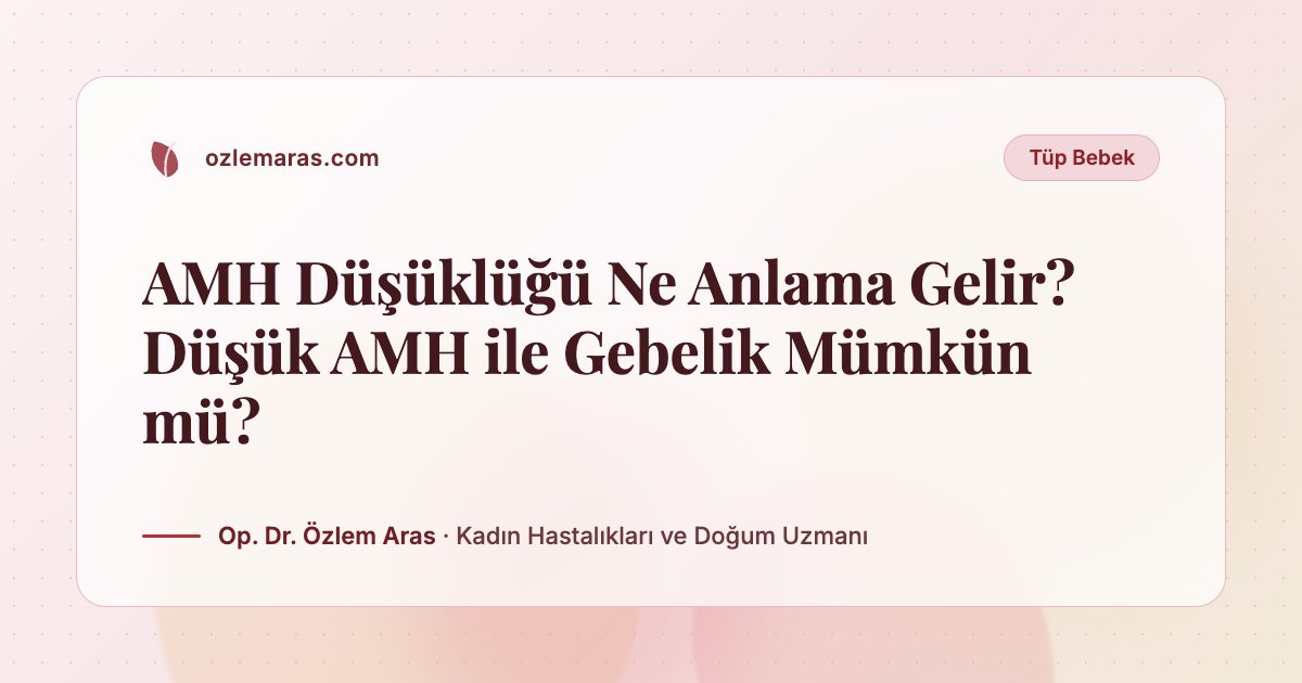 AMH Düşüklüğü Ne Anlama Gelir? Düşük AMH ile Gebelik Mümkün mü?
