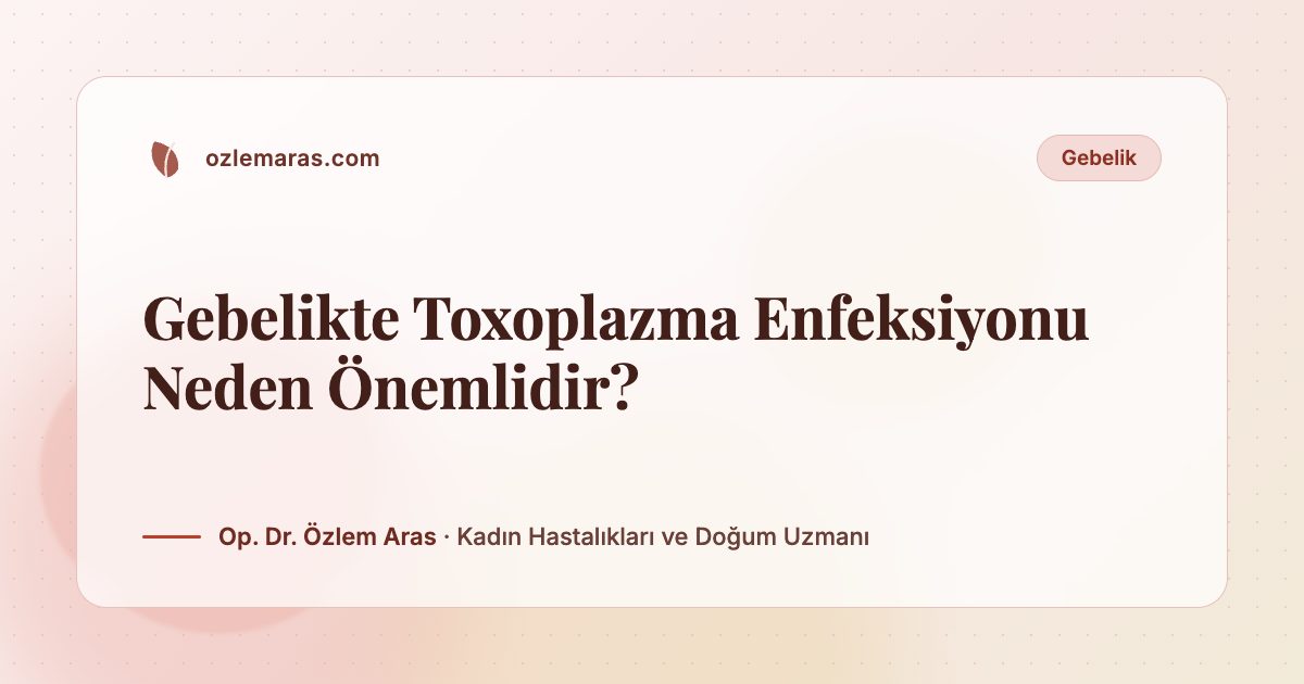 Gebelikte Toxoplazma Enfeksiyonu Neden Önemlidir?