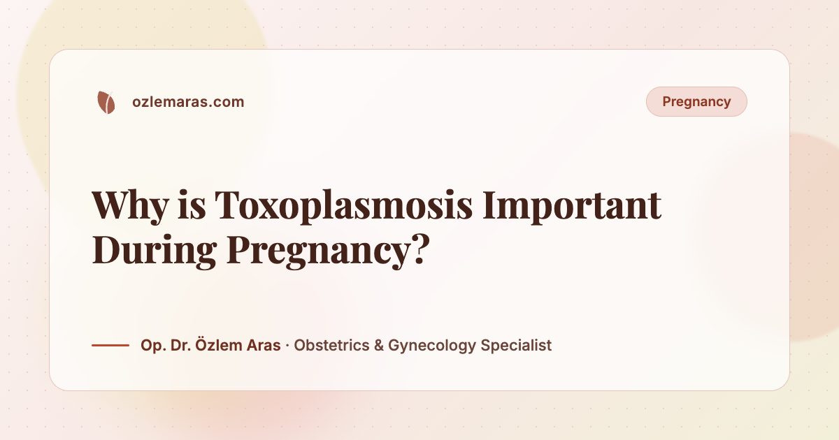 Why is Toxoplasmosis Important During Pregnancy?