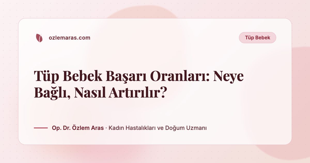 Tüp Bebek Başarı Oranları: Neye Bağlı, Nasıl Artırılır?